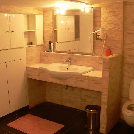 Liege 4420 Rue Jean Jaures 45 Grande Maison Joyeuse Avec Terrasse 30m2 Pour 8 Personnes Maximum 別荘