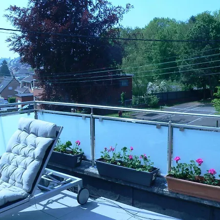 Liege 4420 Rue Jean Jaures 45 Grande Maison Joyeuse Avec Terrasse 30m2 Pour 8 Personnes Maximum 別荘 *