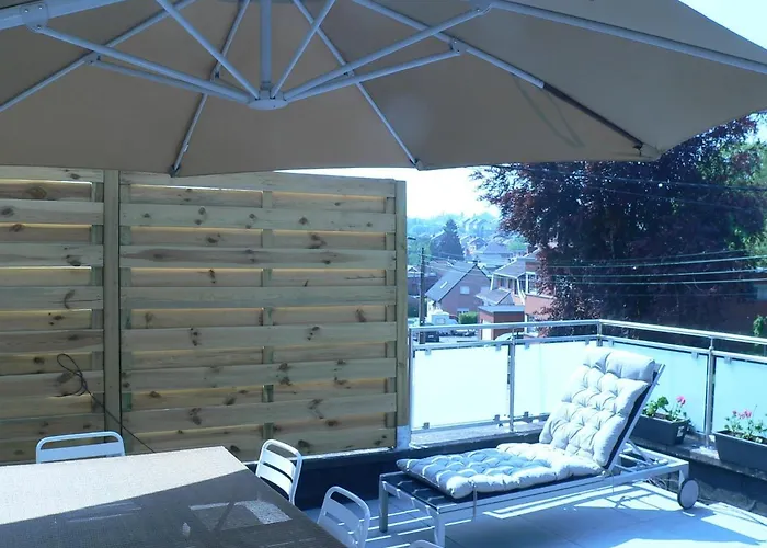 Liege 4420 Rue Jean Jaures 45 Grande Maison Joyeuse Avec Terrasse 30m2 Pour 8 Personnes Maximum